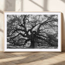 Ancient Oak Wall Art Canvas Print – Gnarled Tree Twisted by MyGreatCanvas | Canvas Wall Art Prints | Photo Prints & Wall Decor
