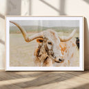 Texas Longhorn Wall Art Canvas Print – Framed Spotted Cow