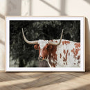 Texas Longhorn Wall Art Canvas Print – Framed Spotted Bull