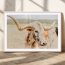 Texas Longhorn Wall Art Canvas Print – Framed Speckled Cow by MyGreatCanvas | Canvas Wall Art Prints | Photo Prints & Wall Decor