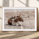Texas Longhorn Wall Art Canvas Print – Framed Resting Bull by MyGreatCanvas | Canvas Wall Art Prints | Photo Prints & Wall Decor