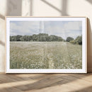 Charming Daisy Field Wall Art Canvas Print – Framed Pastel