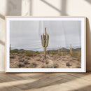 Saguaro Cactus Wall Art – Framed Desert Canvas Artwork, by MyGreatCanvas | Canvas Wall Art Prints | Photo Prints & Wall Decor