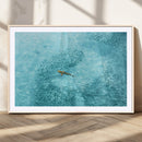 Fish Swarm Wall Art Canvas Print – Framed Aerial Shark and by MyGreatCanvas | Canvas Wall Art Prints | Photo Prints & Wall Decor