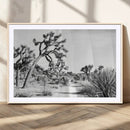 Joshua Tree Wall Art Canvas Print – Framed Desert Path Art by MyGreatCanvas | Canvas Wall Art Prints | Photo Prints & Wall Decor