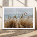 Beach Grass Wall Art – Framed Coastal Dunes Canvas Artwork, by MyGreatCanvas | Canvas Wall Art Prints | Photo Prints & Wall Decor