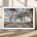 Cypress Tunnel Wall Art Canvas Print – Framed Misty Road Art by MyGreatCanvas | Canvas Wall Art Prints | Photo Prints & Wall Decor