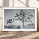 Joshua Tree Wall Art Canvas Print – Framed Black White by MyGreatCanvas | Canvas Wall Art Prints | Photo Prints & Wall Decor