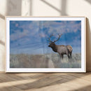 Elk Wall Decor Canvas Print – Framed Rustic Wildlife Art by MyGreatCanvas | Canvas Wall Art Prints | Photo Prints & Wall Decor