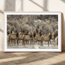 Elk Herd Scene Wall Art Canvas Print – Framed Rustic by MyGreatCanvas | Canvas Wall Art Prints | Photo Prints & Wall Decor