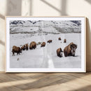Bison Herd Wall Art Canvas Print – Framed Western Wildlife by MyGreatCanvas | Canvas Wall Art Prints | Photo Prints & Wall Decor