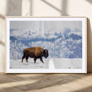 Bison Snow Wall Art Canvas Print – Framed Wildlife Scene by MyGreatCanvas | Canvas Wall Art Prints | Photo Prints & Wall Decor