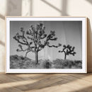 Joshua Tree Wall Art Canvas Print, Framed Monochrome Desert by MyGreatCanvas | Canvas Wall Art Prints | Photo Prints & Wall Decor