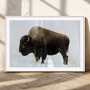 Bison Wall Art Canvas Print – Framed Western Wildlife