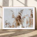Pampas Grass Wall Art Canvas Print – Framed Neutral Tones