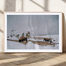 Bison Wildlife Wall Art Canvas Print – Framed Snowy Prairie