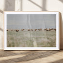 Bison Herd Wall Art Canvas Print – Framed Western Bison