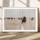 Bison Herd Wall Art Canvas Print – Framed Western Prairie
