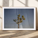Joshua Tree Wall Art Canvas Print – Framed Southwestern by MyGreatCanvas | Canvas Wall Art Prints | Photo Prints & Wall Decor