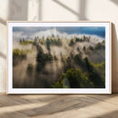Tranquil Forest Wall Art Canvas Print – Framed Sunbeam by MyGreatCanvas | Canvas Wall Art Prints | Photo Prints & Wall Decor