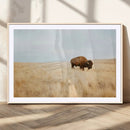 Buffalo Wall Art Canvas Print – Framed Western Wildlife by MyGreatCanvas | Canvas Wall Art Prints | Photo Prints & Wall Decor