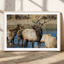 Wild Elk Wall Art Canvas Print – Framed Neutral Wildlife by MyGreatCanvas | Canvas Wall Art Prints | Photo Prints & Wall Decor