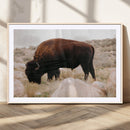 Western Wildlife Wall Art Canvas Print, Majestic Wilderness by MyGreatCanvas | Canvas Wall Art Prints | Photo Prints & Wall Decor