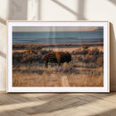 Western Framed Bison Wall Art Canvas Print by MyGreatCanvas | Canvas Wall Art Prints | Photo Prints & Wall Decor