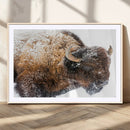 Snowy Buffalo Wall Art Canvas Print – Framed Rustic Lodge by MyGreatCanvas | Canvas Wall Art Prints | Photo Prints & Wall Decor