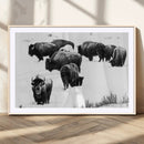 Buffalo Herd Wall Art Canvas Print – Framed Black and White by MyGreatCanvas | Canvas Wall Art Prints | Photo Prints & Wall Decor