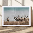 Elk Herd Wall Art Canvas Print – Framed Wildlife Photography