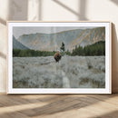 Wild Bison Wall Art Canvas Print, Majestic Mountain Pines by MyGreatCanvas | Canvas Wall Art Prints | Photo Prints & Wall Decor