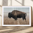 American Bison Wall Art Canvas Print – Majestic Buffalo