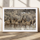Majestic Elk Herd Winter Canvas, Elk Herd Winter Landscape by MyGreatCanvas | Canvas Wall Art Prints | Photo Prints & Wall Decor