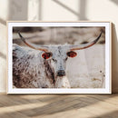 Majestic Texas Longhorn Bull Wall Art Canvas Print – Rustic by MyGreatCanvas | Canvas Wall Art Prints | Photo Prints & Wall Decor
