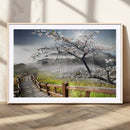 Sakura Cherry Blossom Pathway Canvas Wall Art – Tranquil