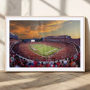 Dooley Stadium Wall Art, Sports Arena Canvas Print, Dooley by MyGreatCanvas | Canvas Wall Art Prints | Photo Prints & Wall Decor