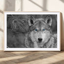 Wild Wolf Blue Eye Wall Art Canvas Print