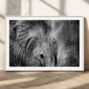 Wild Old Elephant Wall Art Canvas Print