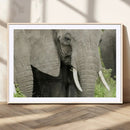 Wild Elephant Wall Art Canvas Print by MyGreatCanvas | Canvas Wall Art Prints | Photo Prints & Wall Decor