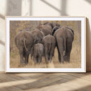 Wild Elephant Wall Art Canvas Print by MyGreatCanvas | Canvas Wall Art Prints | Photo Prints & Wall Decor