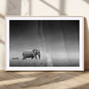 Elephand and Zebra Wall Art Canvas Print, Modern Artwork