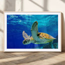 Sea Turtle Wall Art Canvas Print, Sea life in the Ocean Wall