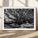 Mighty Angel Oak Wall Art | Angel Oak Tree Art Print by MyGreatCanvas | Canvas Wall Art Prints | Photo Prints & Wall Decor