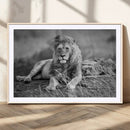 King Forest Lion Wall Art Canvas Print – Framed Majestic by MyGreatCanvas | Canvas Wall Art Prints | Photo Prints & Wall Decor