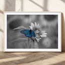 Blue Butterfly Black and White Canvas Wall Art by MyGreatCanvas | Canvas Wall Art Prints | Photo Prints & Wall Decor