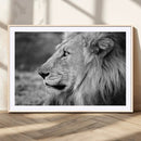 African Lion Wall Art Canvas Print – Majestic Wildlife