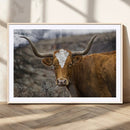 Texas Longhorn Canvas Wall Art - Longhorn Steer Canvas Wall