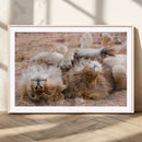 Lion Pair Wall Art Canvas Print – Framed Wildlife Scene with