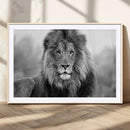 Black and White Lion Canvas Wall Art – Animal Print Artwork